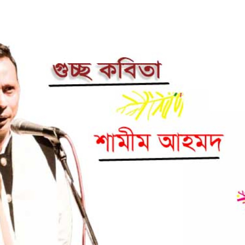 একগুচ্ছ কবিতা । শামীম আহমদ